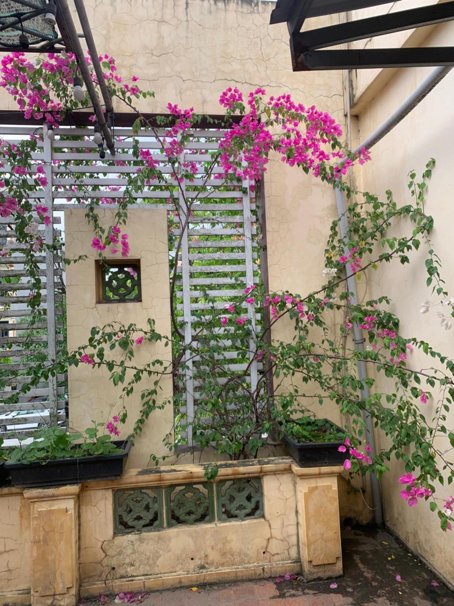 Seoul House Aparthotel Νιν Μπιν Εξωτερικό φωτογραφία